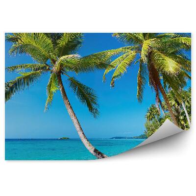 Öntapadós fotótapéta Pálmafák, trópusi tengerpart, Thaiföld