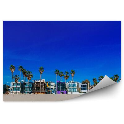 Kép tapéta Velence tengerpart pálmafák város homokházak