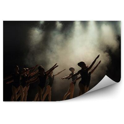 Fotótapéta Balettóra a ködszínpadon