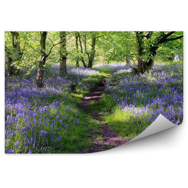 Öntapadós fotótapéta Mező lila virágok fű fák ösvény park