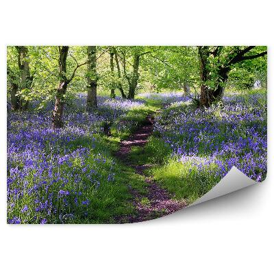 Öntapadós fotótapéta Mező lila virágok fű fák ösvény park