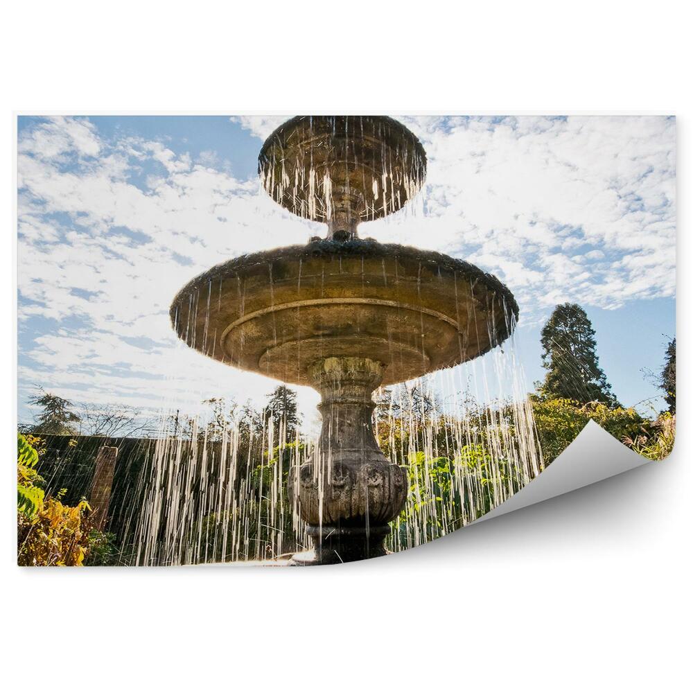 Fotótapéta Szökőkút kert víz növények