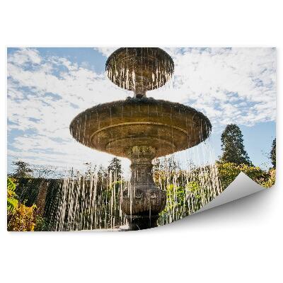 Fotótapéta Szökőkút kert víz növények