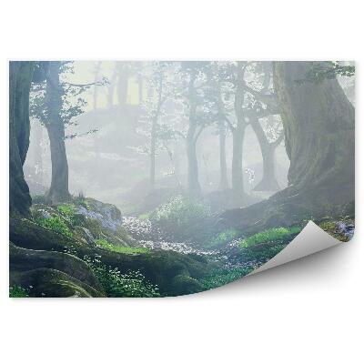 Öntapadós fotótapéta falra Varázslatos fantázia erdő