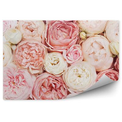 Poszter tapéta Rózsaszín bézs virágok háttér