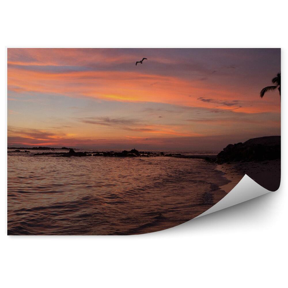 Öntapadós fotótapéta falra Naplemente tengerpart pálmafák óceán madarak trópusok