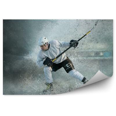 Fotótapéta Dinamikus jégkorong akció