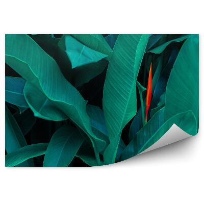 Öntapadós fotótapéta Közelkép egy trópusi növény zöld leveleiről