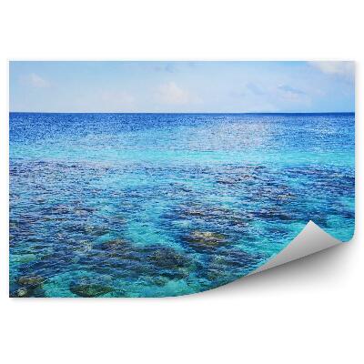 Poszter tapéta Felülnézet tengeri zátony horizont