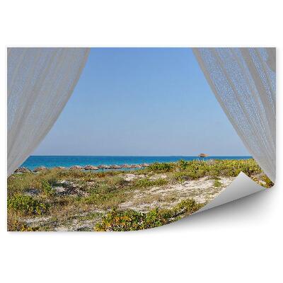 Öntapadó fotótapéta Pálmanövények tengere