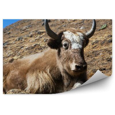 Öntapadó fotótapéta Mint a Himalája és a nepáli hegyek