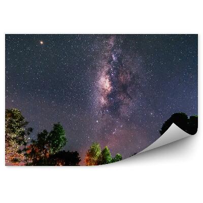 Modern fotótapéta Tejút csillagok space por fák színes fények éjszaka