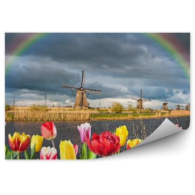 Öntapadó fotótapéta Tulipánok szélmalmok óceán fű ég felhők szivárvány