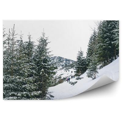 Öntapadós fotótapéta falra Sűrű tűlevelű erdő Zakopanéban