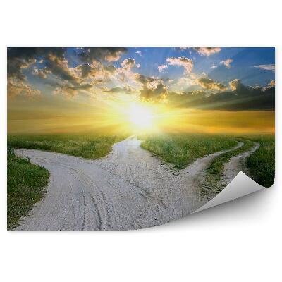 Fotótapéta Vidéki út homok füves mezők napsütés