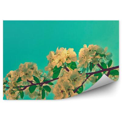 Fotótapéta Alma virágok ága zöld háttér