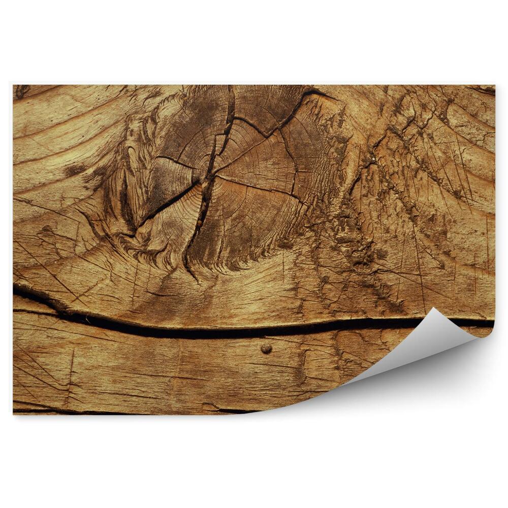 Fotótapéta Fa csomó kb