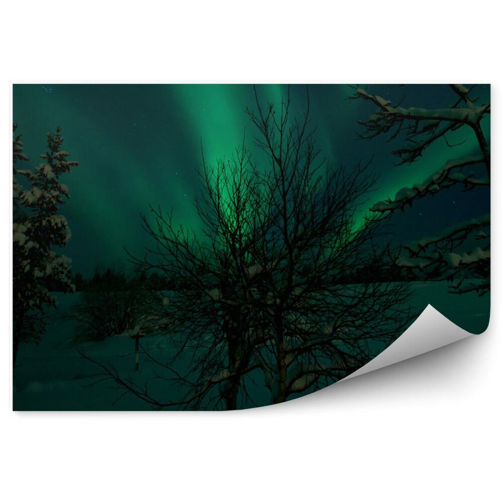 Fotótapéta Sötét fa