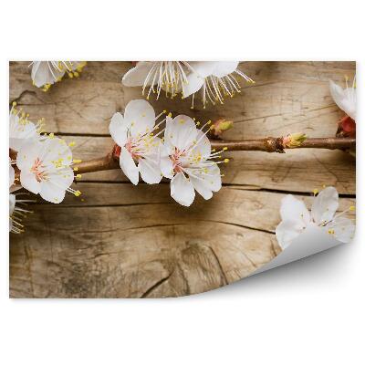 Fotótapéta Almavirág feküdt a fán