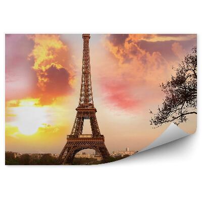 Fotótapéta Párizs Eiffel-torony Park felhők