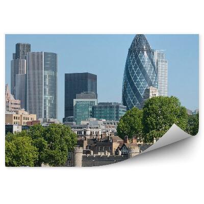 Fotótapéta felhőkarcolók épületek kastély fák ég London