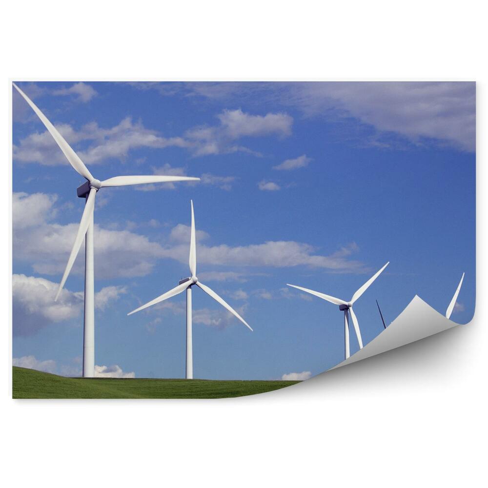 Fotótapéta Fehér szélmalmok