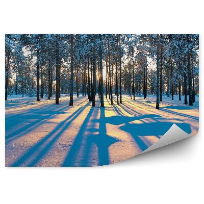 Öntapadós fotótapéta falra Téli erdei napfelkelte