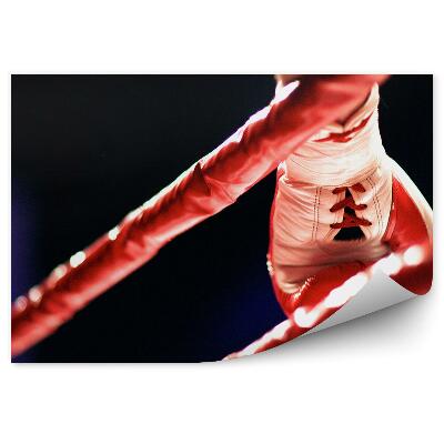 Fotótapéta Ring box kesztyű