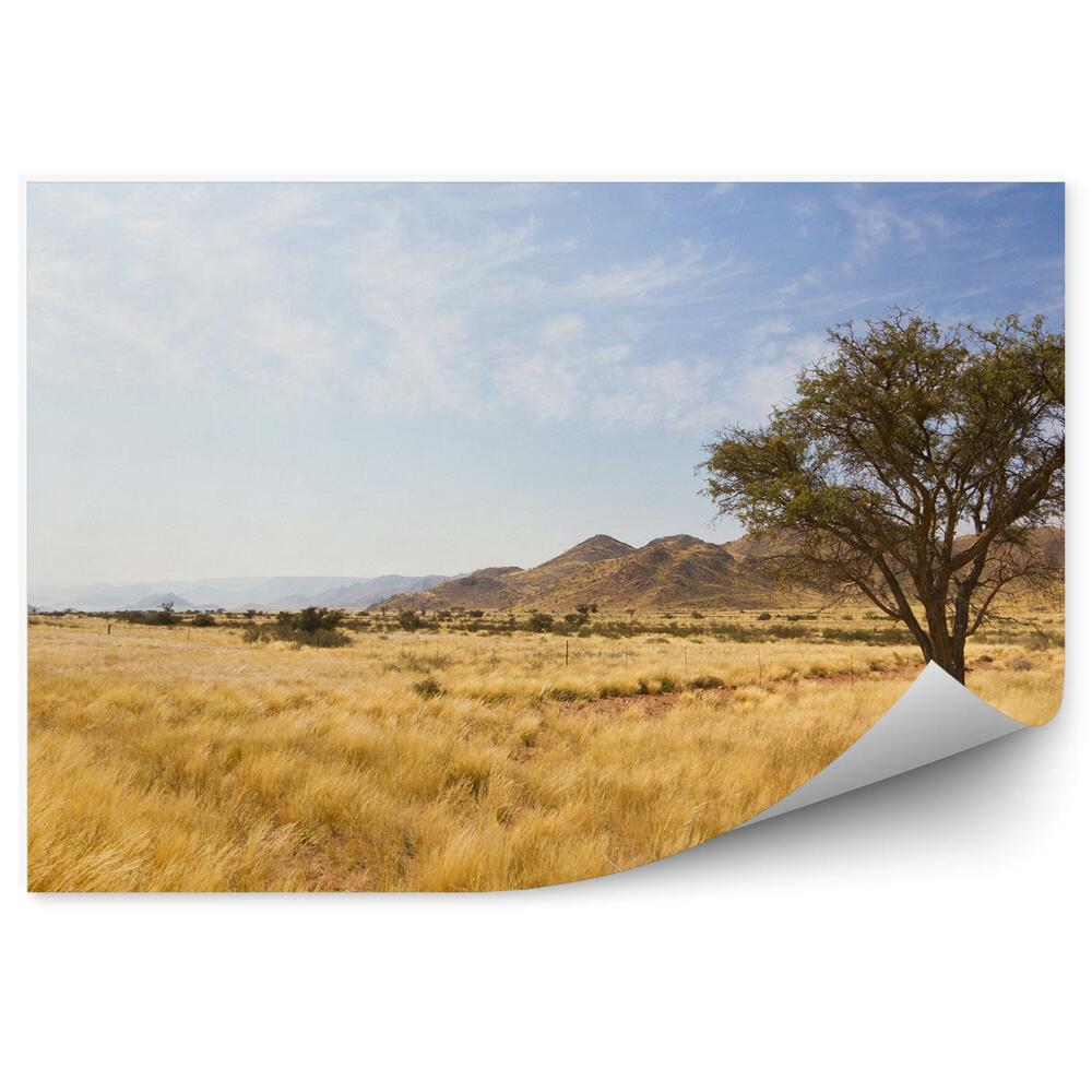 Modern fotótapéta Savannah hegyek fák fű ég felhők nambia afrika