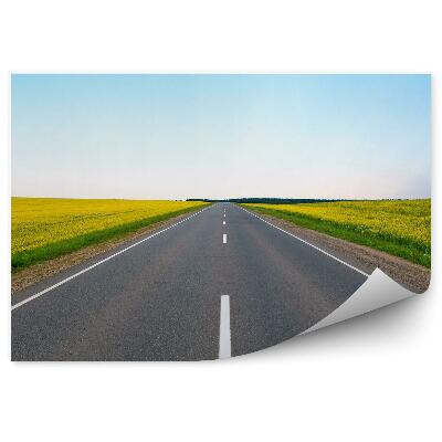 Fotótapéta Virágzó sárga virágok mezője az út mentén