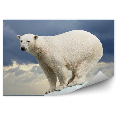 Öntapadó fotótapéta Egy jegesmedve a sötét ég hátterében