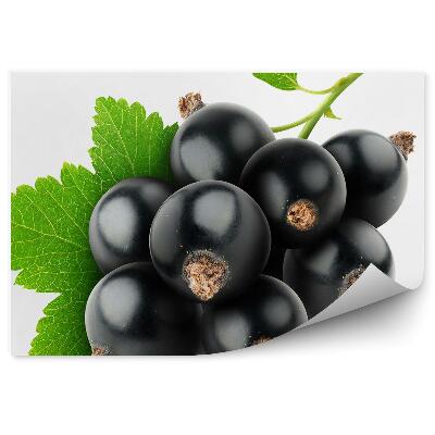 Kép Tapéta Fekete ribizli gyümölcs gally levél fehér háttér