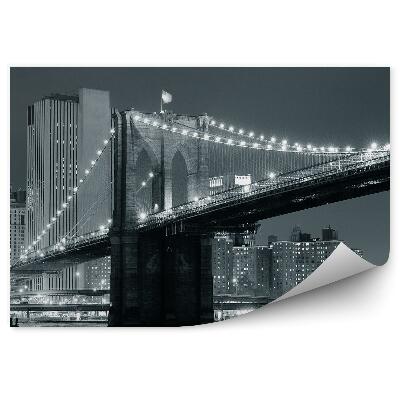 Fotótapéta Bridge usa fekete-fehér fotó folyó