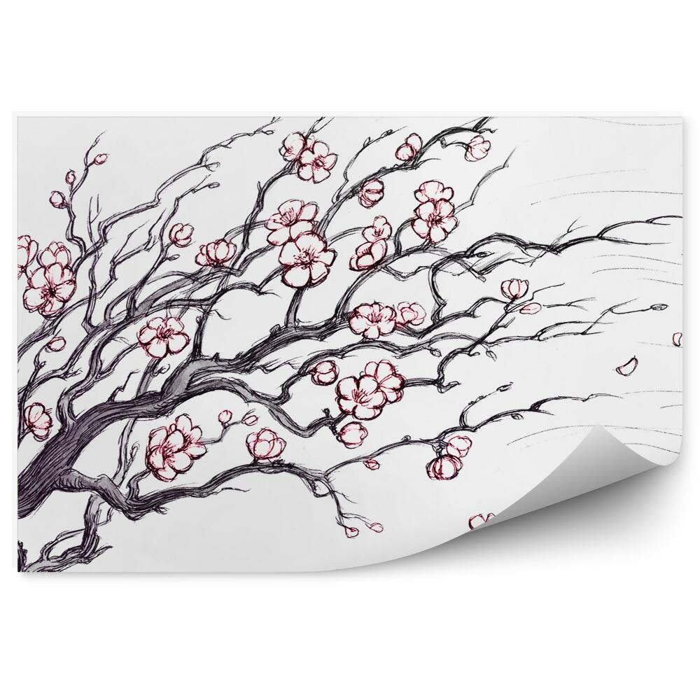 Fotótapéta Cseresznyefa virágok kép