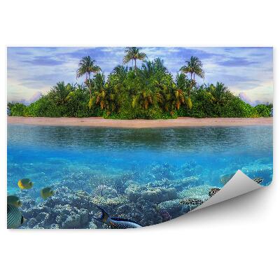 Öntapadós fotótapéta falra A Maldív-szigetek trópusi szigetének tengeri élete
