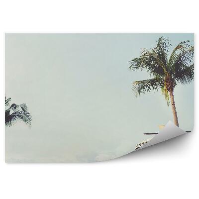 Poszter tapéta Nyári vakáció minibusz tengeri pálmafák horizont