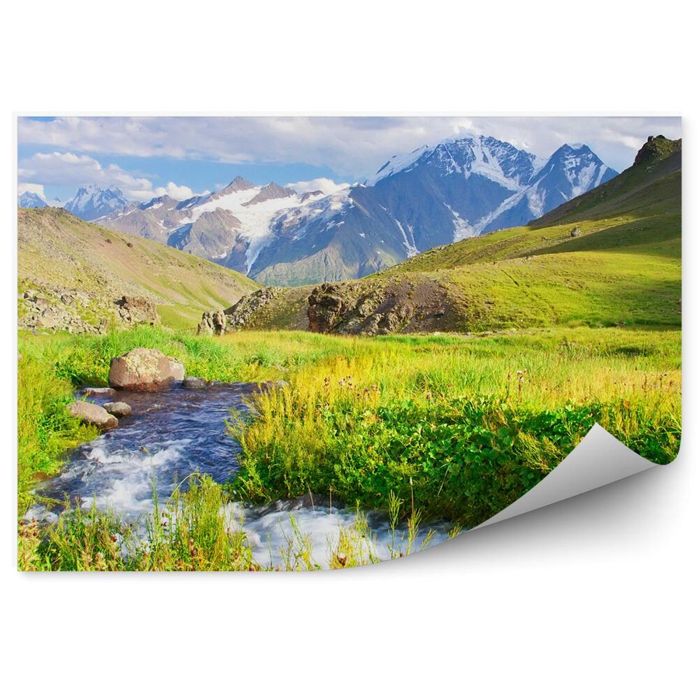 Öntapadós fotótapéta folyó rét hegyek zöld