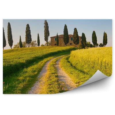 Fotótapéta villa Toszkána mező sikátor fák