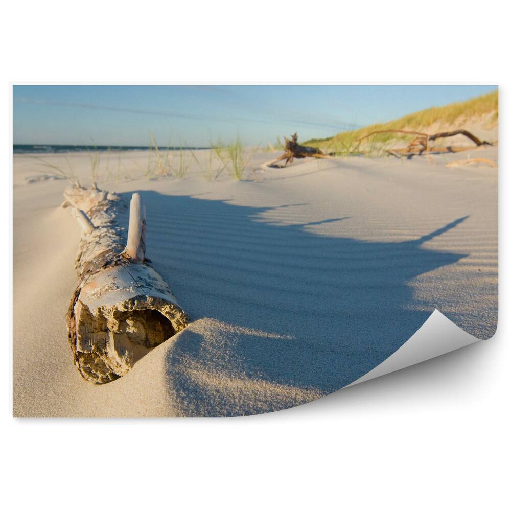 Modern fotótapéta Strand fa fű