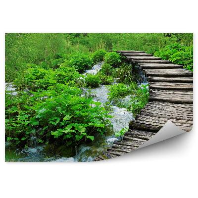 Modern fotótapéta Fahíd fák vízesés bokrok