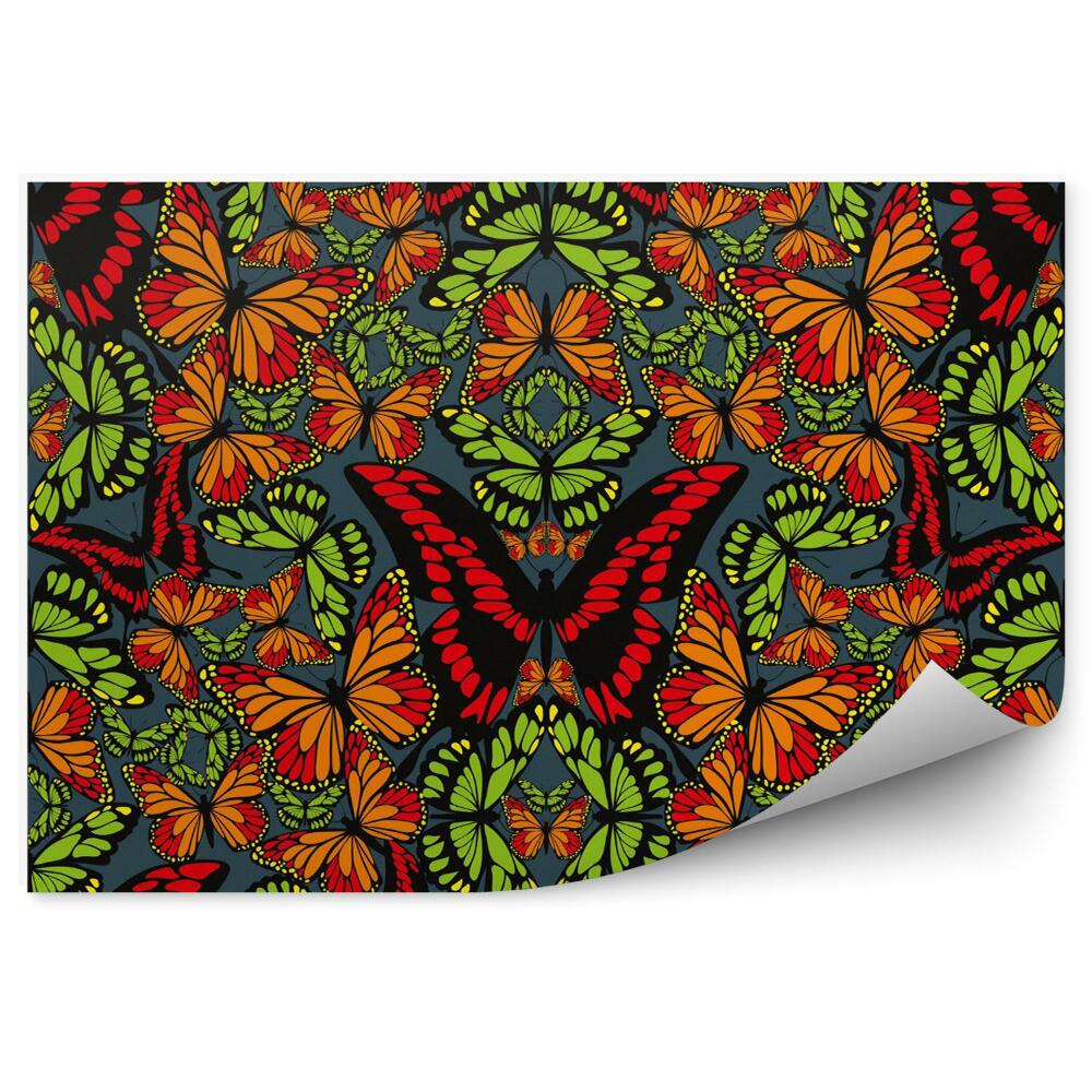 Öntapadó fotótapéta Pillangó tapéta