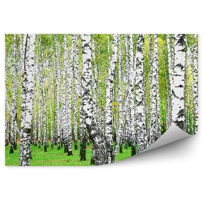 Öntapadós fotótapéta falra Nyírerdei fű