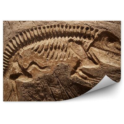 Öntapadós fotótapéta Egy dinoszaurusz csontvázának tükörképe