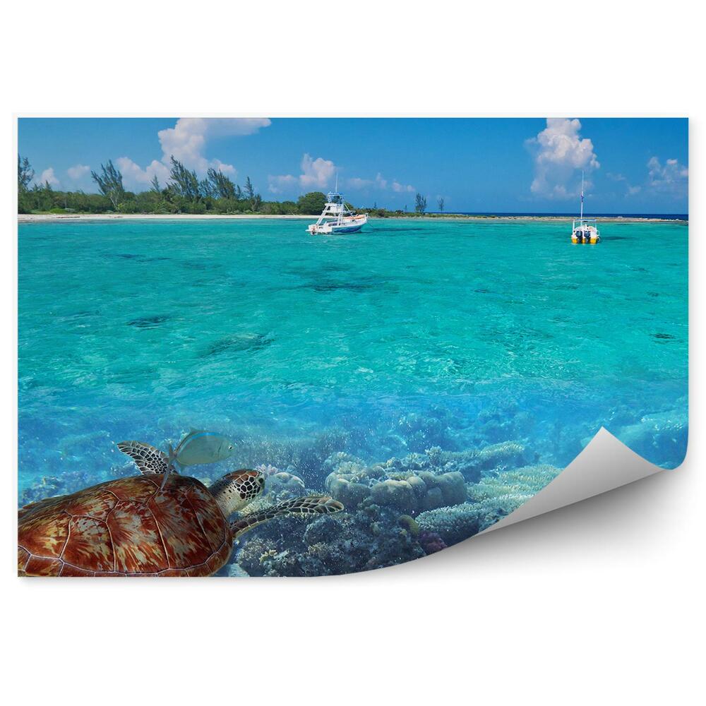 Poszter tapéta Természet karibi tengeri teknős hal kék víz