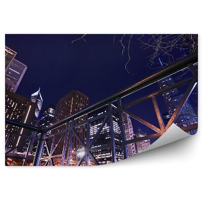 Poszter tapéta bankok a chicago folyó felhőkarcolók fények fa