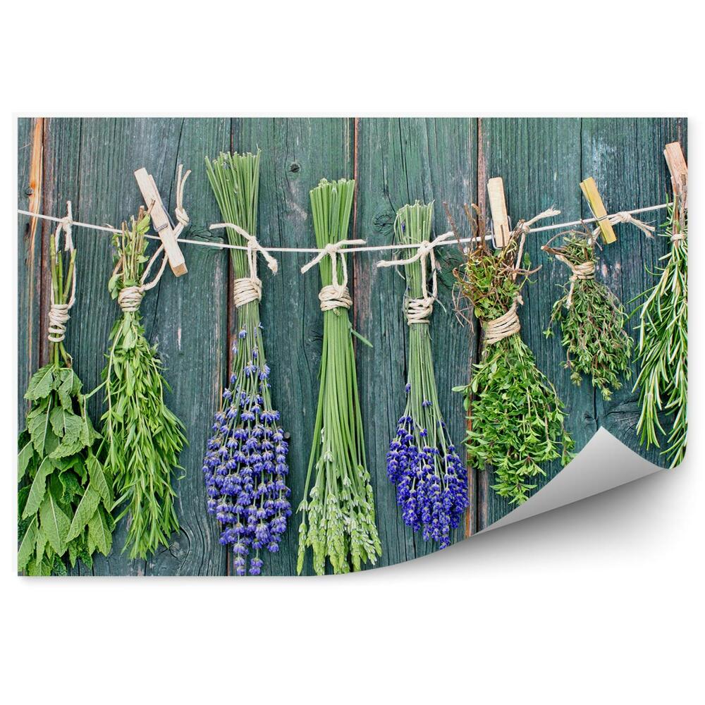 Kép Tapéta Friss fűszernövények