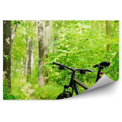 Öntapadós fotótapéta falra Mountain bike utazás erdei természet