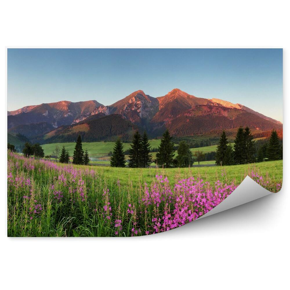 Fotótapéta Naplemente panoráma