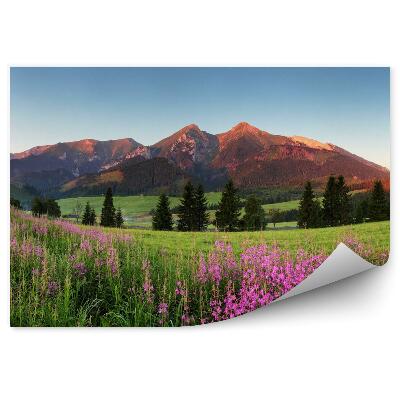 Fotótapéta Naplemente panoráma