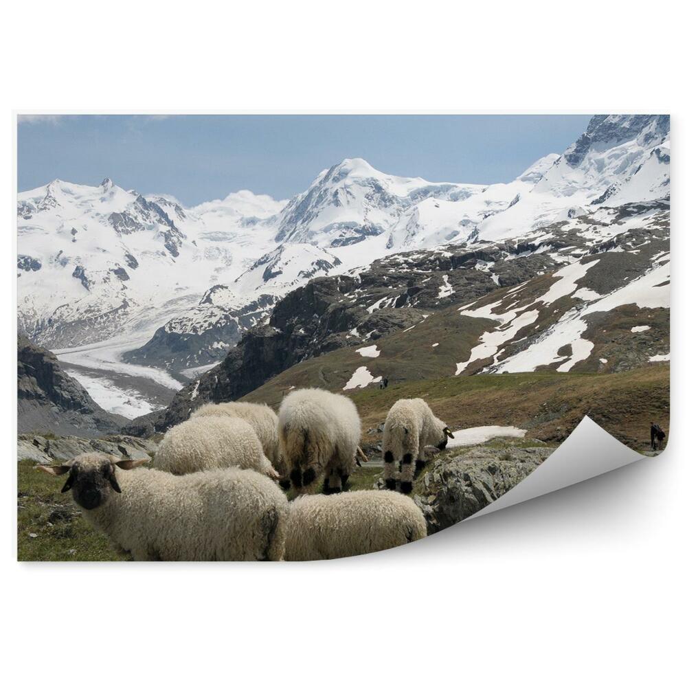 Öntapadós fotótapéta Juh hegyek monte rosa Alpok hó téli felhők ég